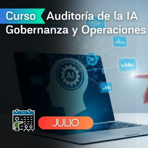  Auditoría de la IA Gobernanza y Operaciones